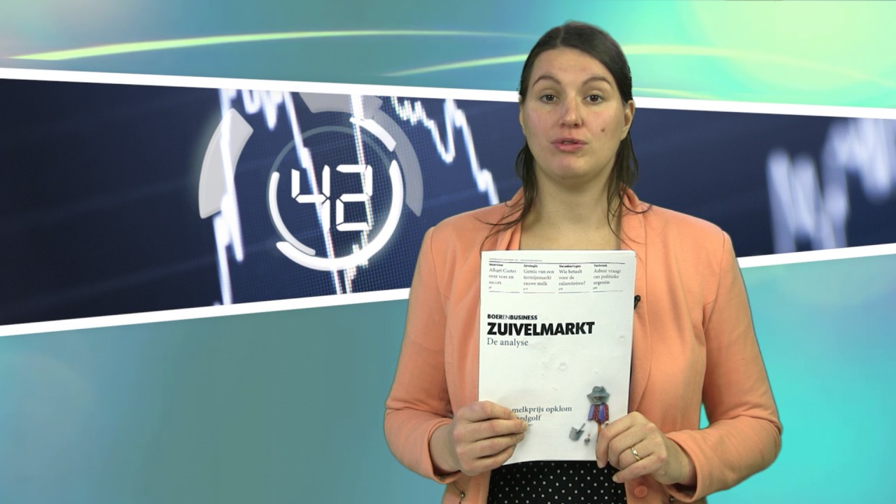 Hoe de melkprijs opklom na een vloedgolf