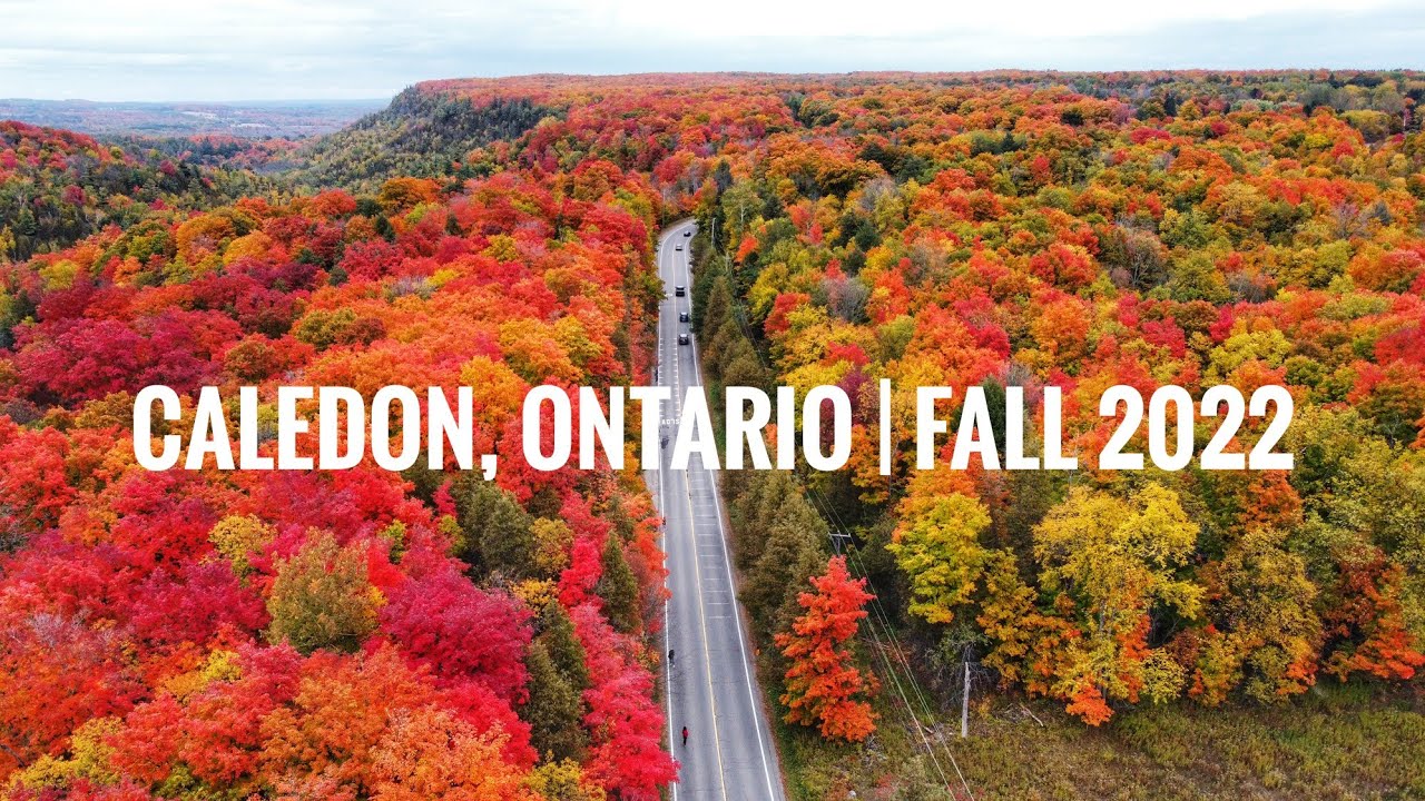 Stunning Fall Colors in Forks of the Credit,  Belfountain and Caledon, ON shot in Mavic Mini | 4k
