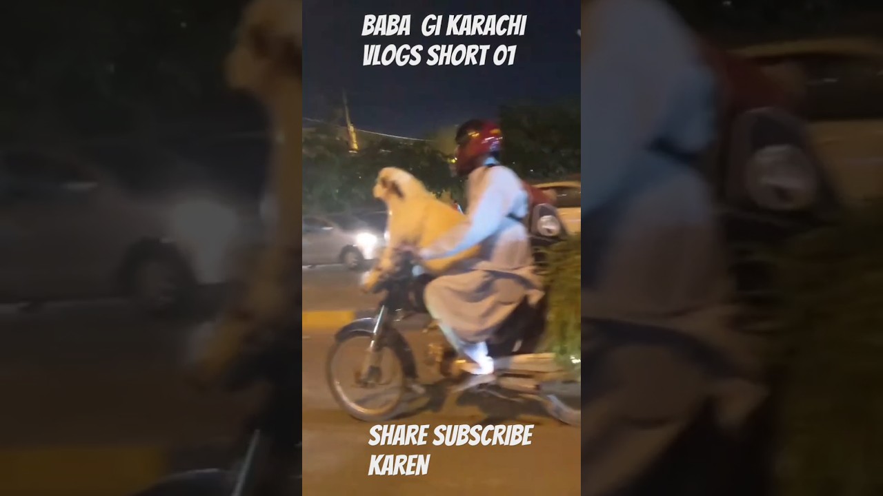 Karachi Road Vlogs 01 | Cow Mandi Bakra