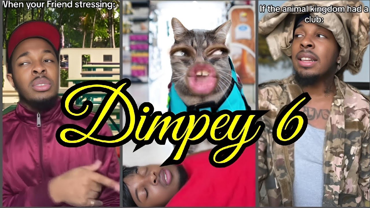 Dimpey6 TikToks Compilation Funny Shorts / Dimpey 6 TikTok Funny Shorts Videos