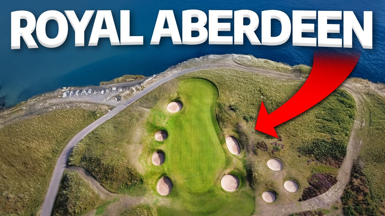 My favourite course ever. No question.