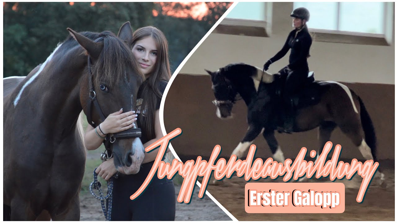 ERSTER GALOPP - JUNGPFERDEAUSBILUNG - ASKINO CONSAS