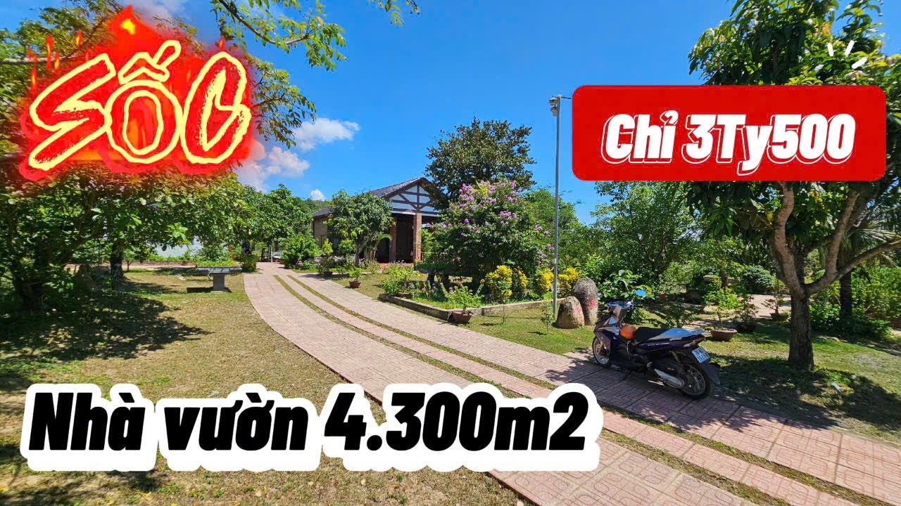 SỐC! chỉ còn 3 tỷ 500 triệu cho nhà vườn 4300m2 vô cùng tâm huyết ven Nha Trang