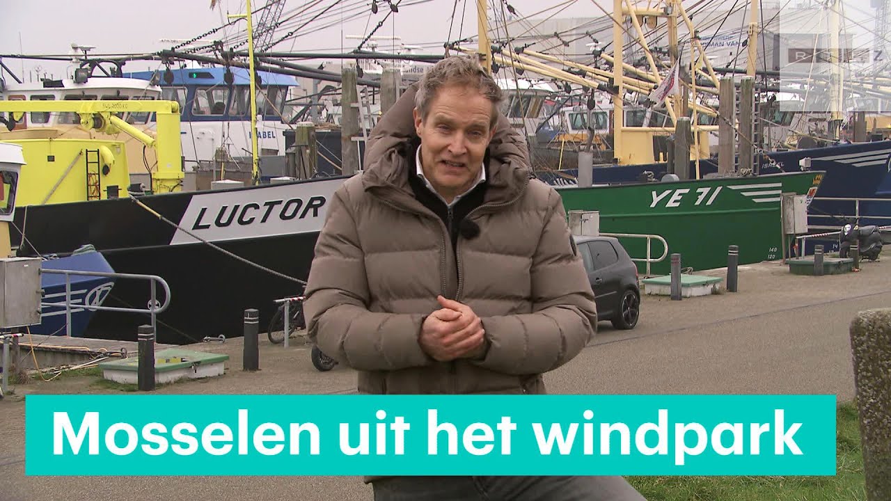 Mosselkweker gaat de Noordzee op