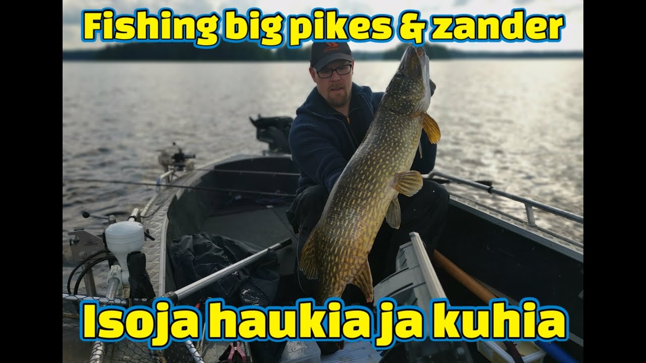 Fishing big pikes and big zanders | Pelagic sharpshooting | Year 2020