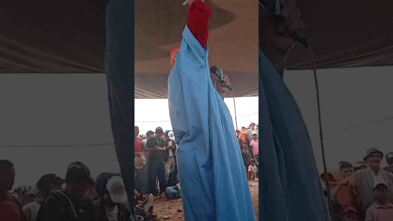 برخيص طلق الحمام طير 