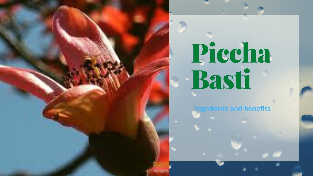 Piccha Basti /Indication /Ingredients