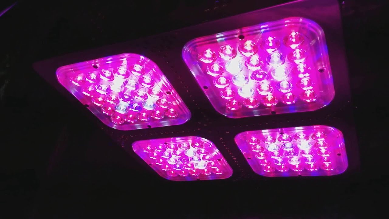 Icemud Grow Videos: Budmaster GOD-4 LED grow light Unboxing, Testing and Review video..