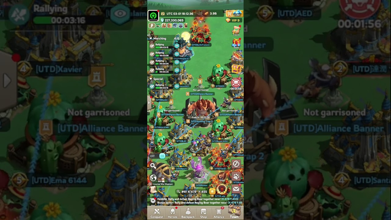 Bear #71 | 26.0 M - 42.0 M