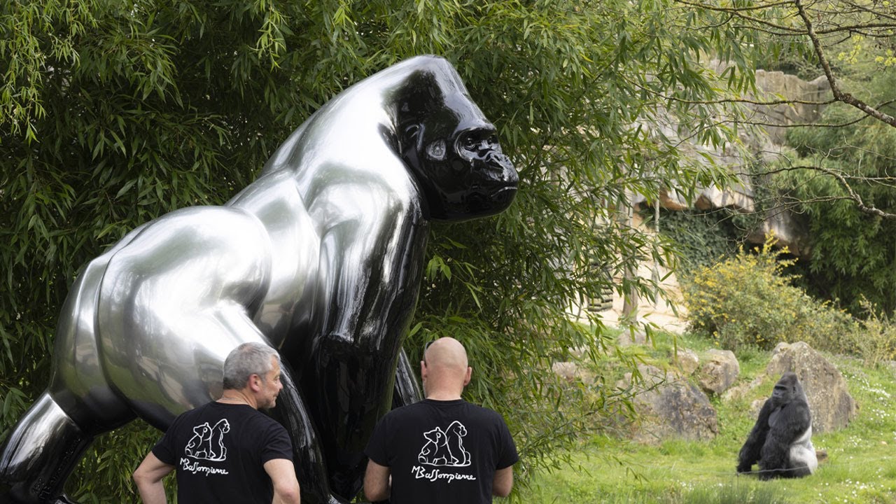 Une exposition XXL s'installe à Beauval !