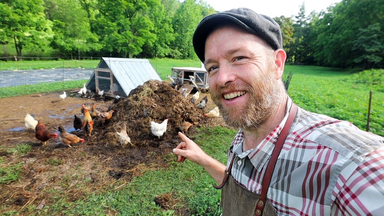Chickens Help Compost + Get FREE food