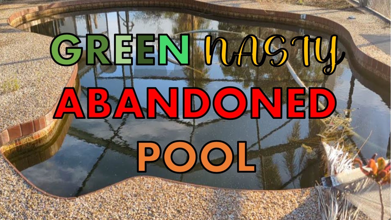 Green Nasty Swimming Pool Has Been Abandoned For 2 Years