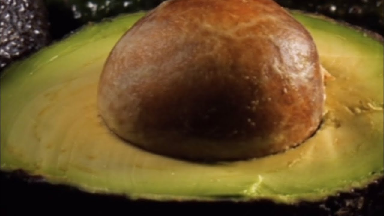 KING MICHEL - AGUACATE