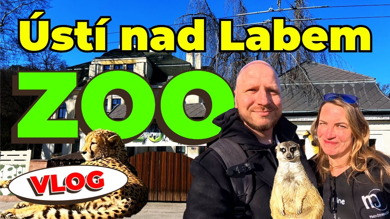 🎥 Ein Tag im Zoo Ústí nad Labem 🐒 | Tierisches Abenteuer in Tschechien!