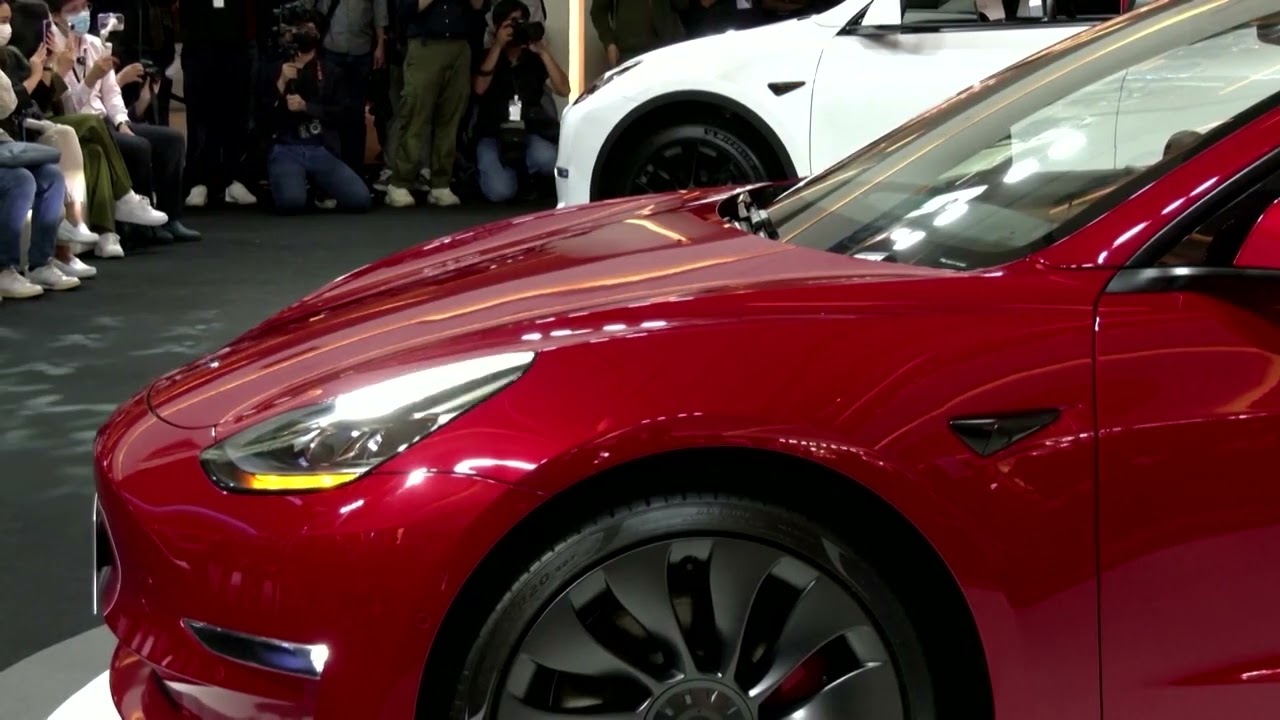 Tesla's sales rout in Europe continues for eighth month | REUTERS