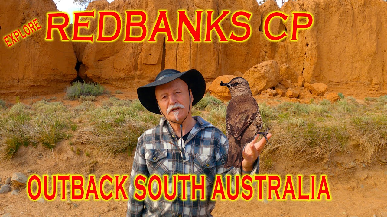 RedBanks Conservation Park - Outback South Australia #exploring  #birding
