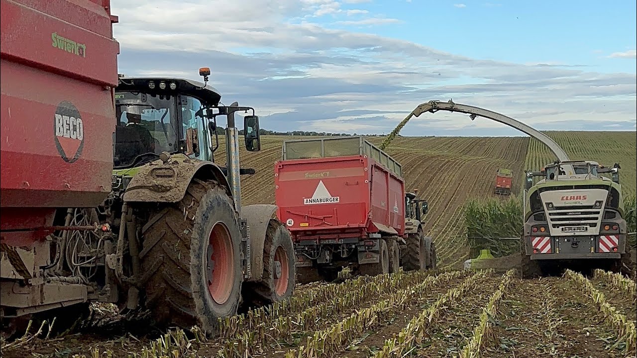 Pierwsze Kroki na Jaguarze 🌽 l Polska 🇵🇱 #24 l