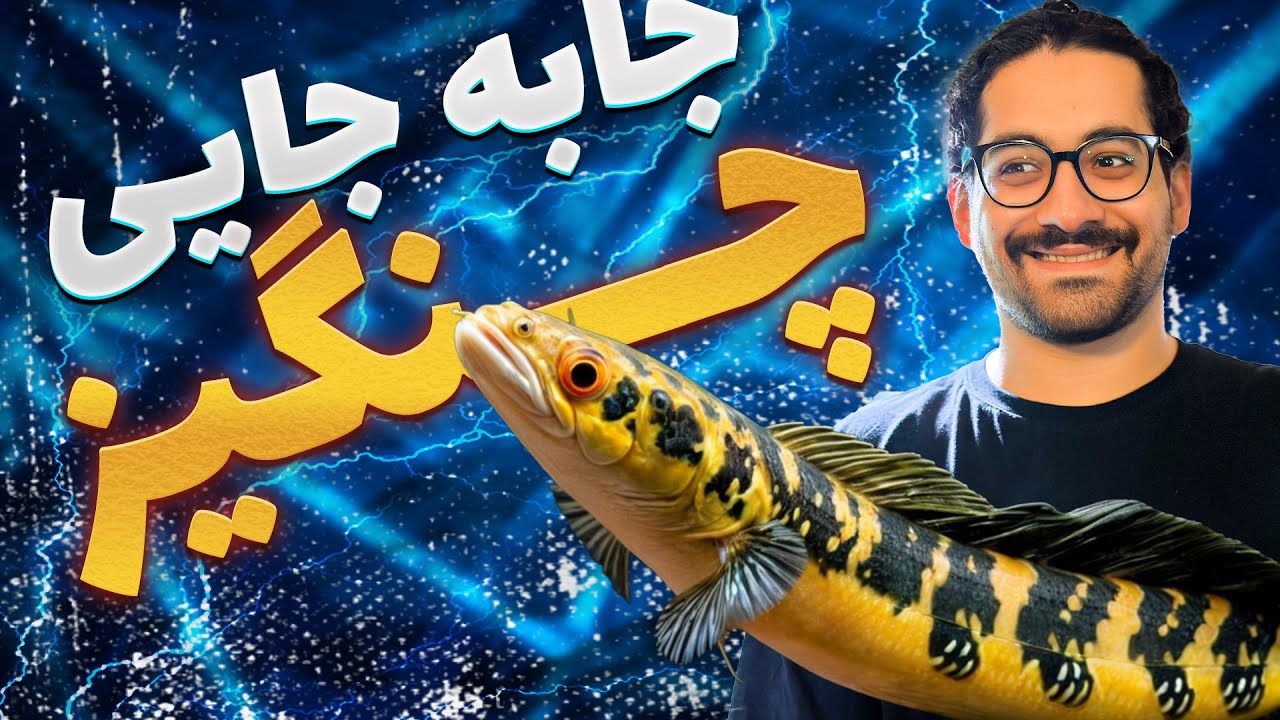 چنگیز رو بردم خونه جدید🥹🧡