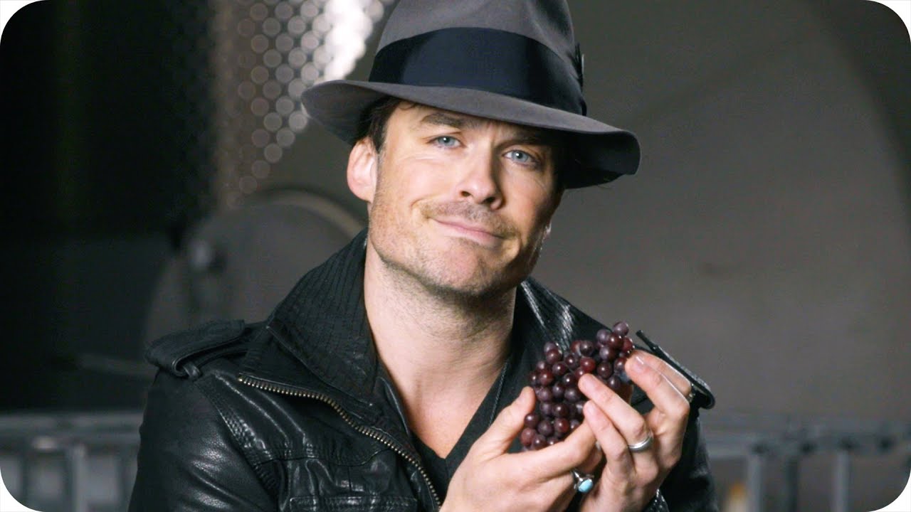 Ian Somerhalder Teaches You the Art of Wine Tasting // Omaze