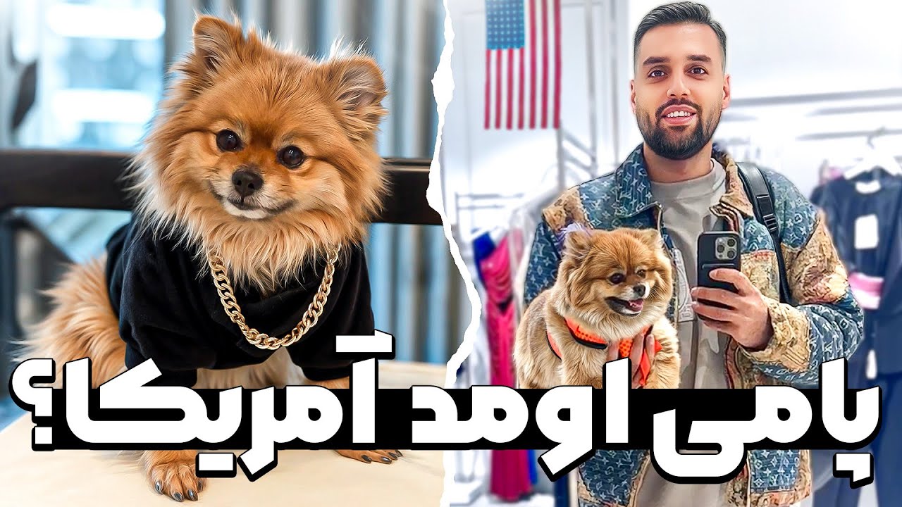 مهاجرت پطروس فداکار به آمریکا😁🐶❤️