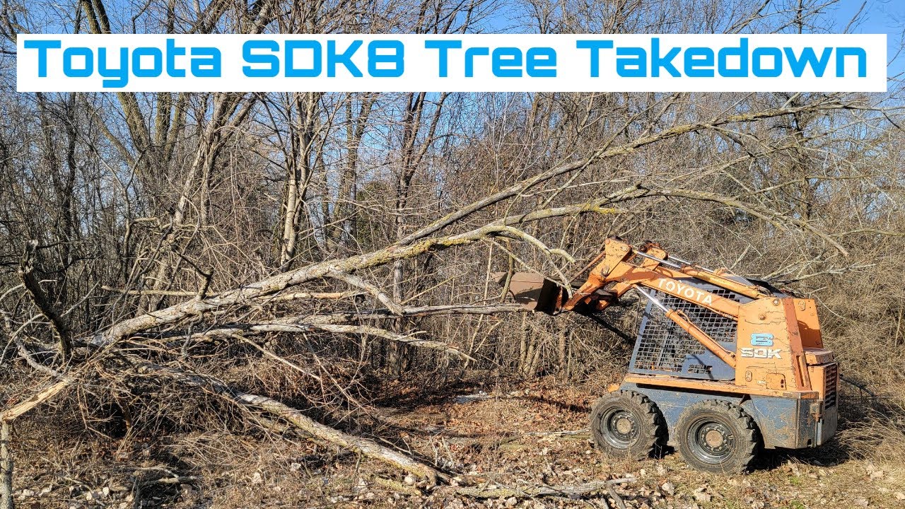 Is Skidsteer Tree Removal REALLY Worth the RISK