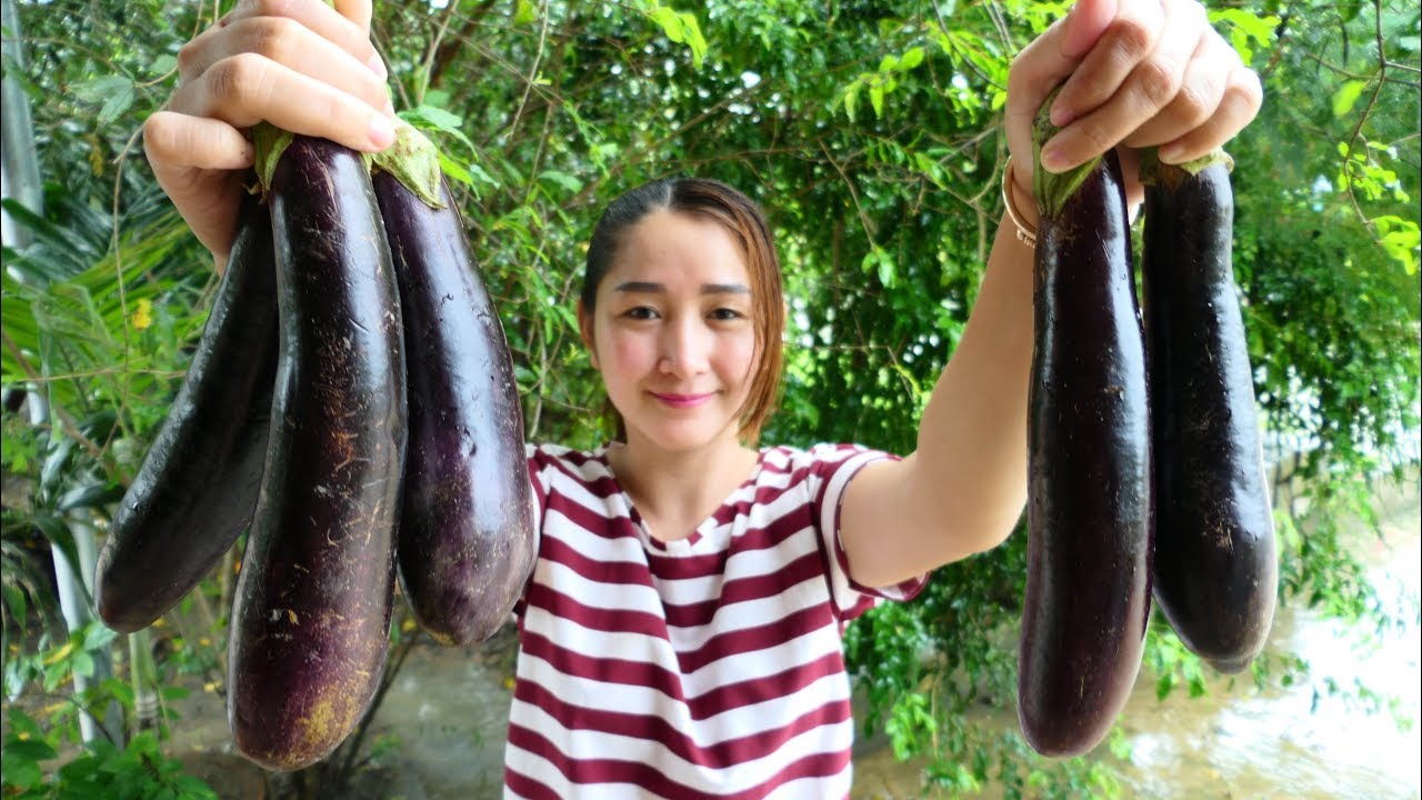 Yummy Eggplant Stir Fried Pork Shrimp Recipe - Eggplant Cooking With Shrimp Pork - Cooking With Sros