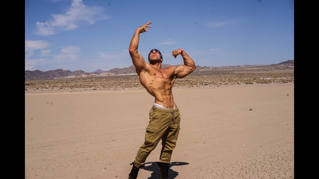 Artemus Dolgin - Motivation