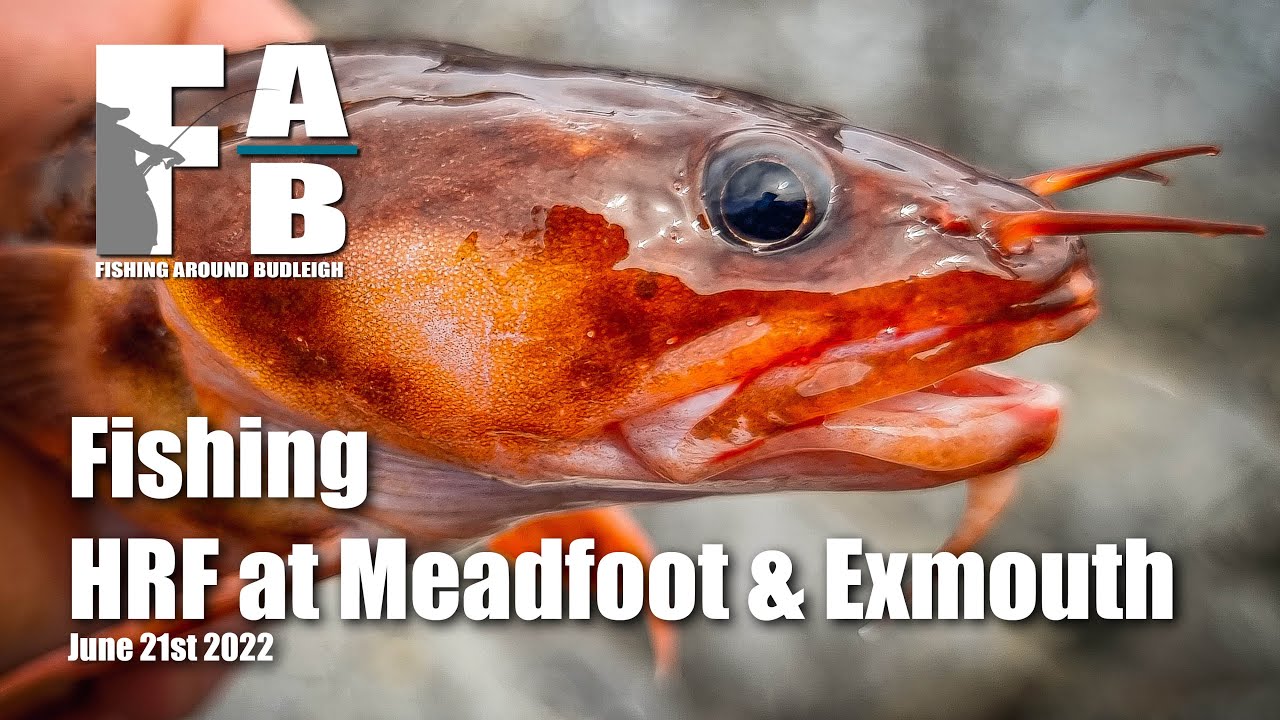 HRF Fishing at Meadfoot & Exmouth - June 21st 2022