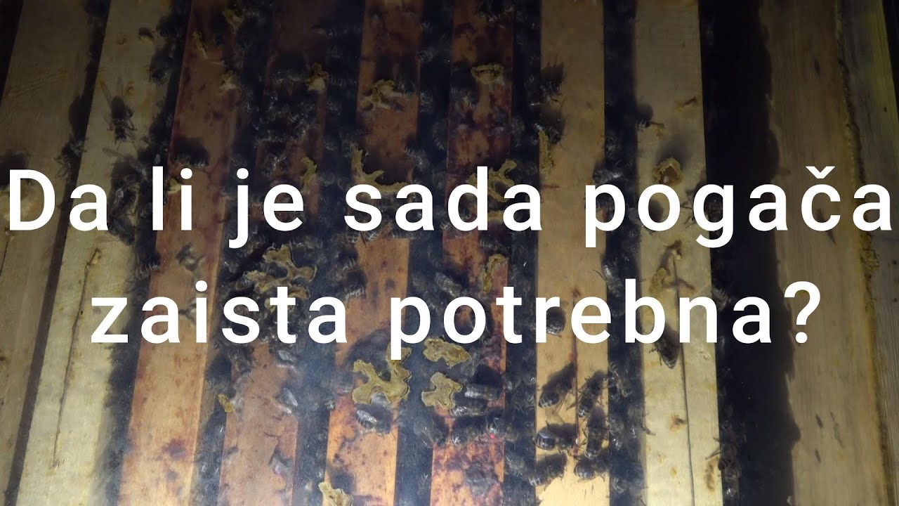 Zimski pregled jačine zajednica pogledom kroz foliju