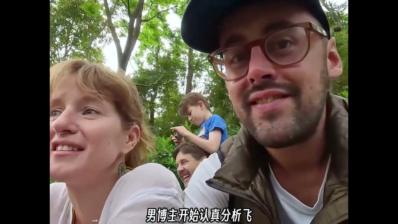 西班牙情侣探索成都大熊猫繁育研究基地，被大熊猫逗笑人仰马翻! #旅行VLOG#大熊猫 #老外在中国 #纪录片解说