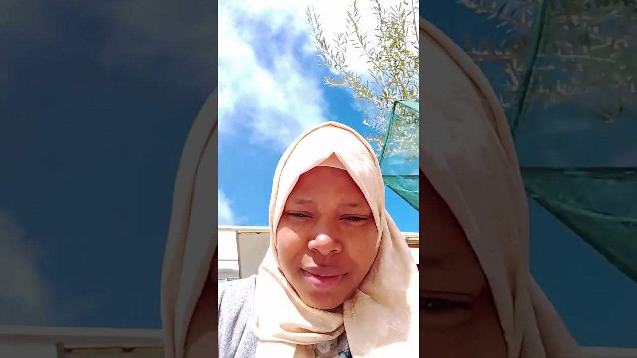 بدأت قناة 
