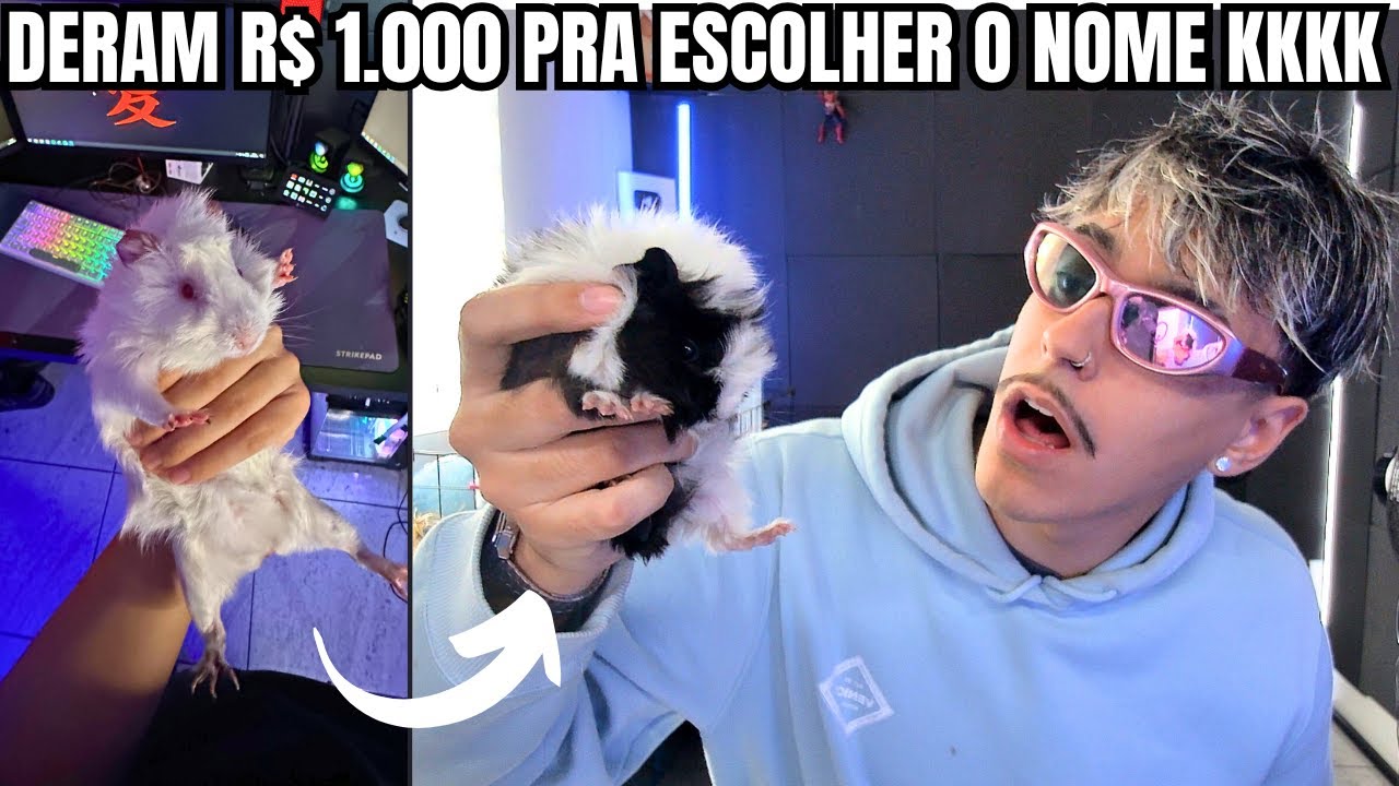 Xiteyy Comprando MAIS UM PORCO DA INDIA KKKKK