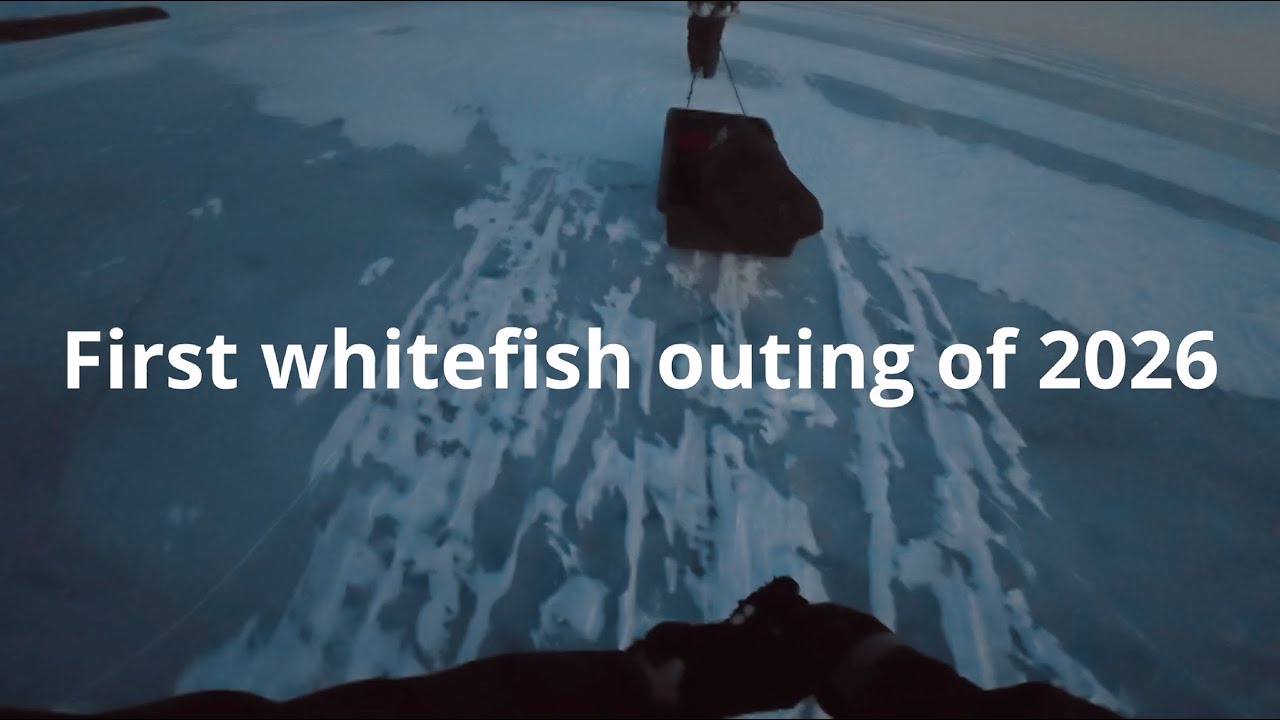 Door County Ice Fishing for Whitefish! -15&deg;!