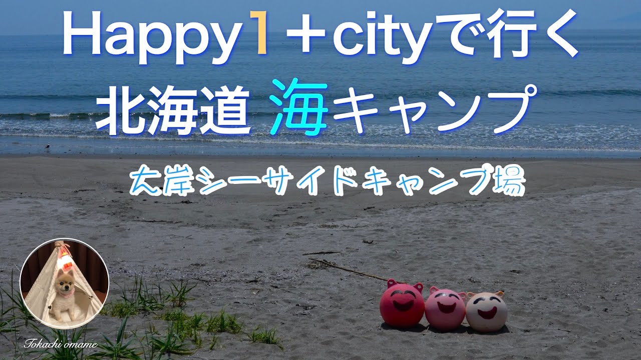 Happy1＋cityで行く　初めての海キャン😆　大岸シーサイドキャンプ場