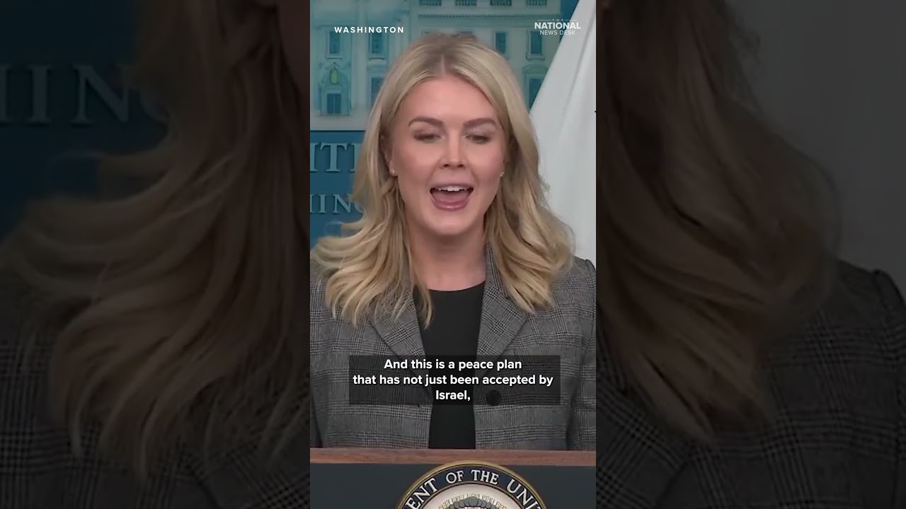 Reporter asks question on Jared Kushner, UAE involvement