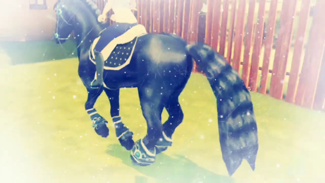 Horse Riding-Tales believer musicvideo
