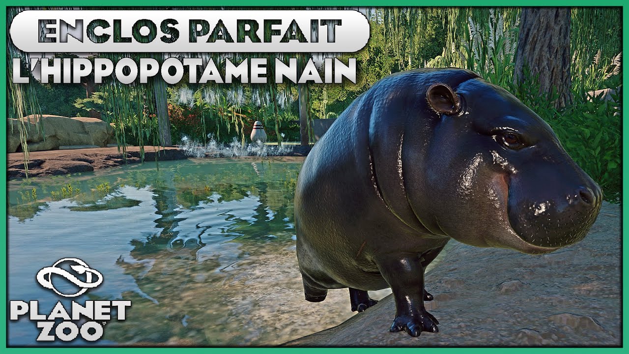 Les Hippopotames Nains (Bassin Surélevé) | LES ENCLOS PARFAITS : EPISODE 33 | PLANET ZOO