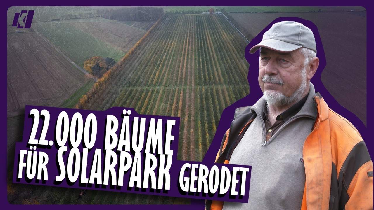 Obstbauer muss 22.000 Bäume für neuen Solarpark fällen