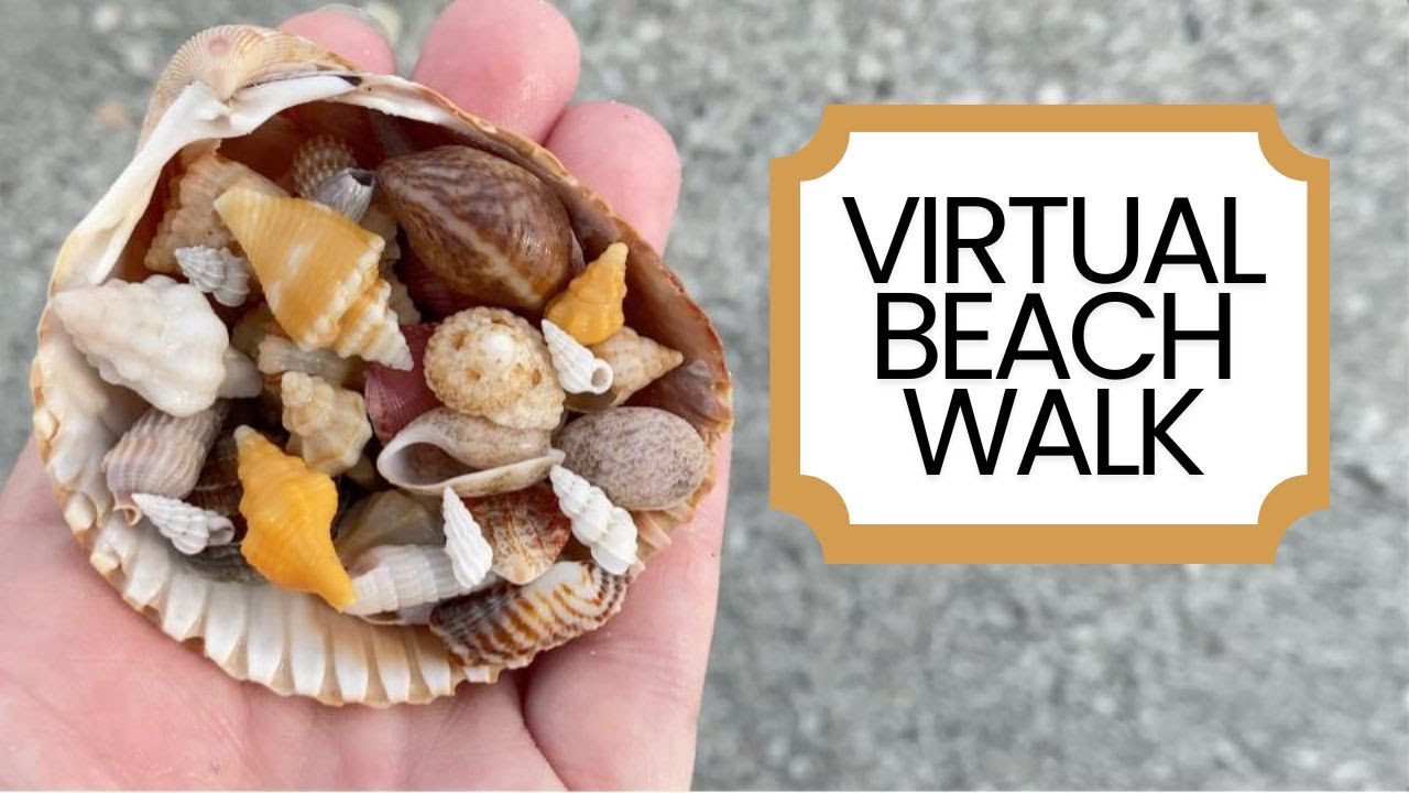 ASMR Virtual Beach Walk - Sanibel Island