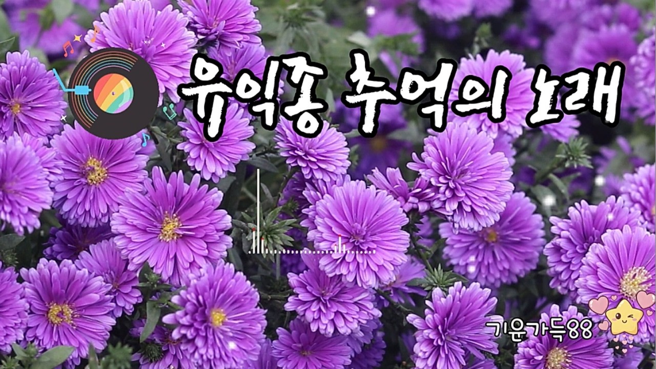 유익종추억의노래#유익종#추억의노래#7080