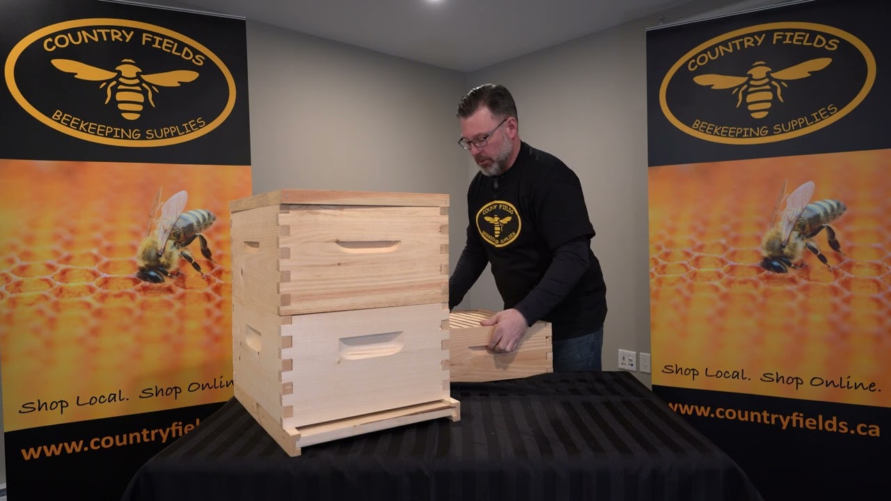 Quebec Bee Escape