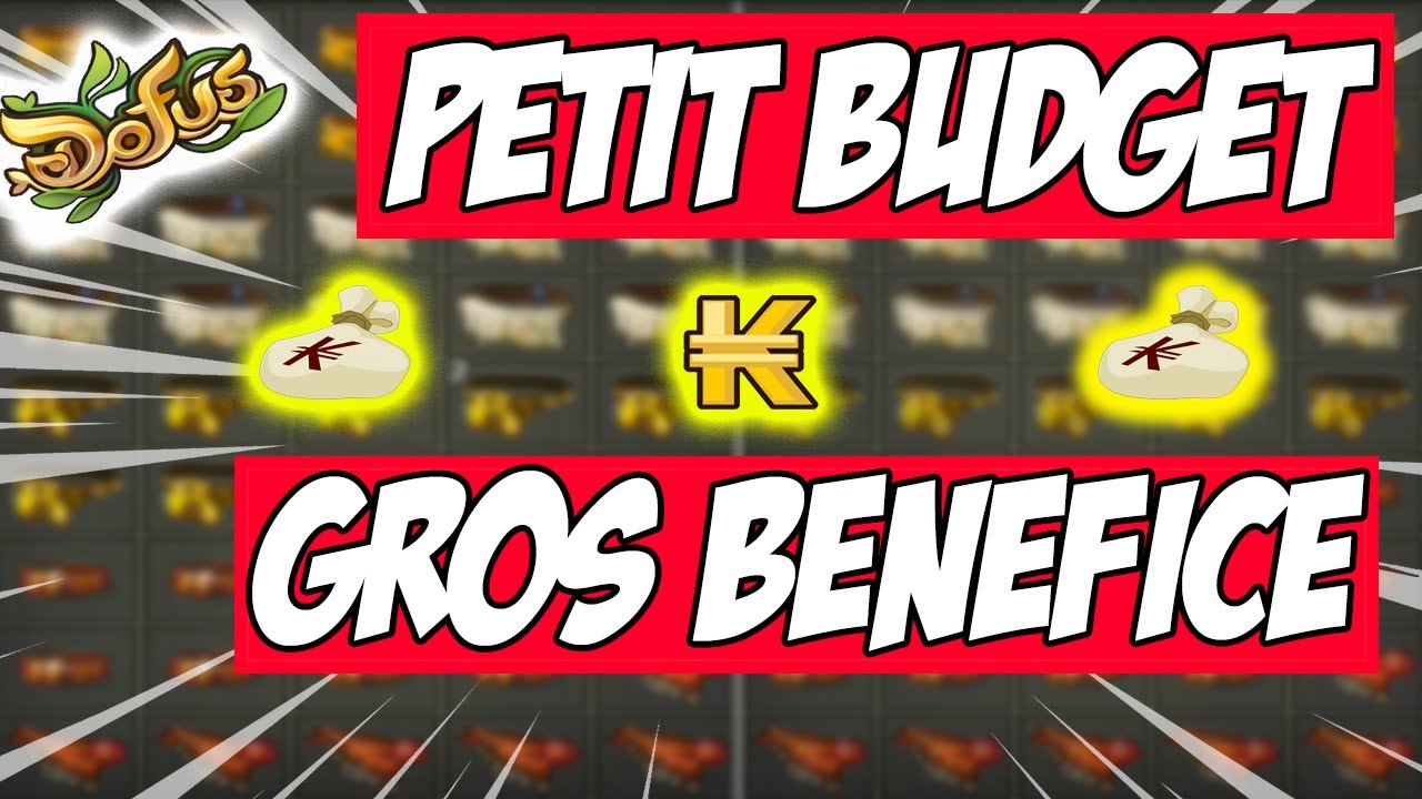 FAIRE BEAUCOUP DE KAMAS AVEC UN PETIT BUDGET | 100 MILLIONS DE KAMAS AVEC LE BRISAGE EPISODE 5