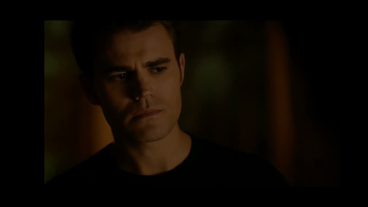 Damon et Stefan s'engueulent à propos de Lily 7x07 - The Vampire Diaries Français 