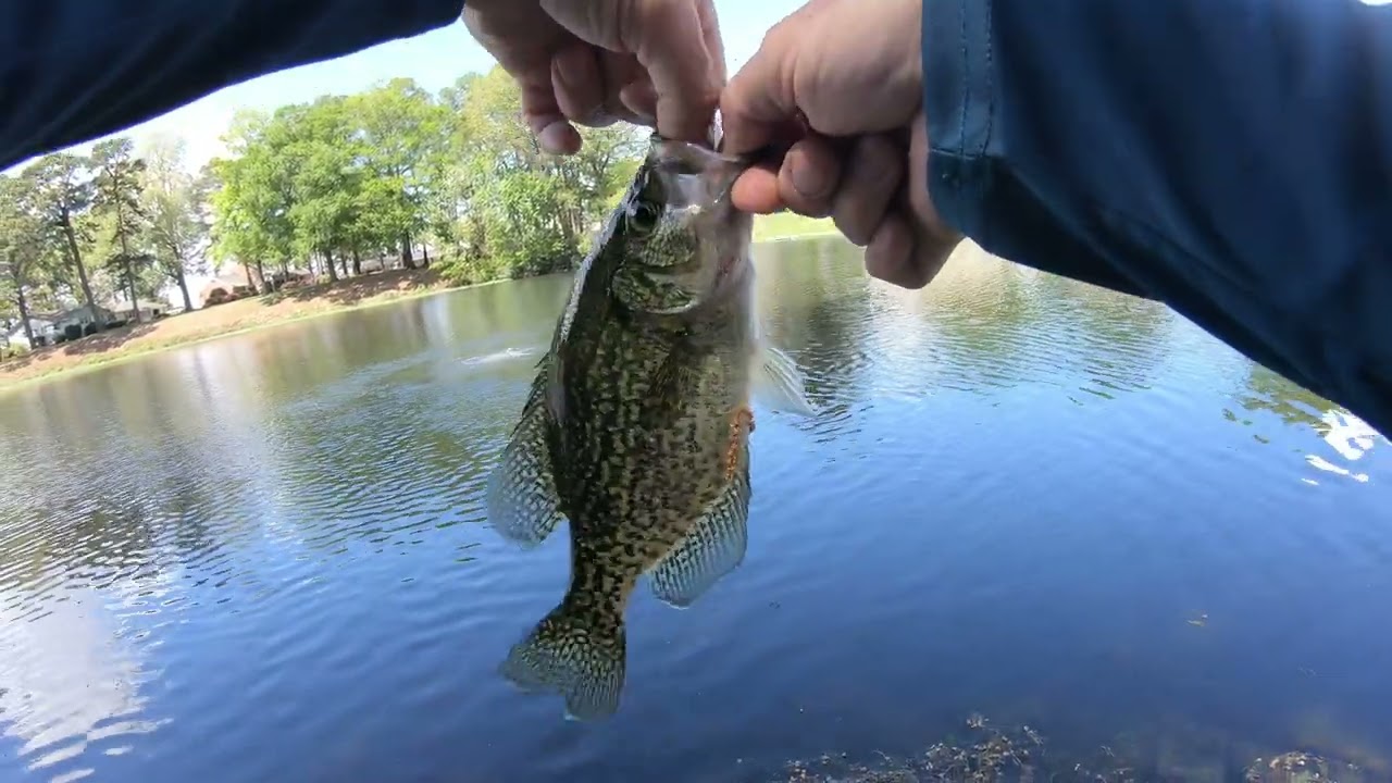 Braided Line on Vintage Garcia Mitchell spinning reels- will it work?