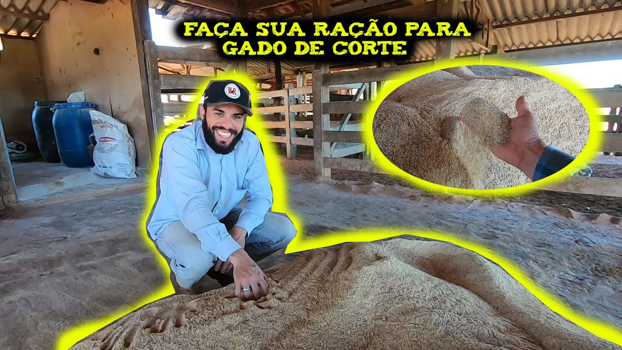 FAÇA sua RAÇÃO para GADO de CORTE #VidaRústica #Lida #GADO #Corte