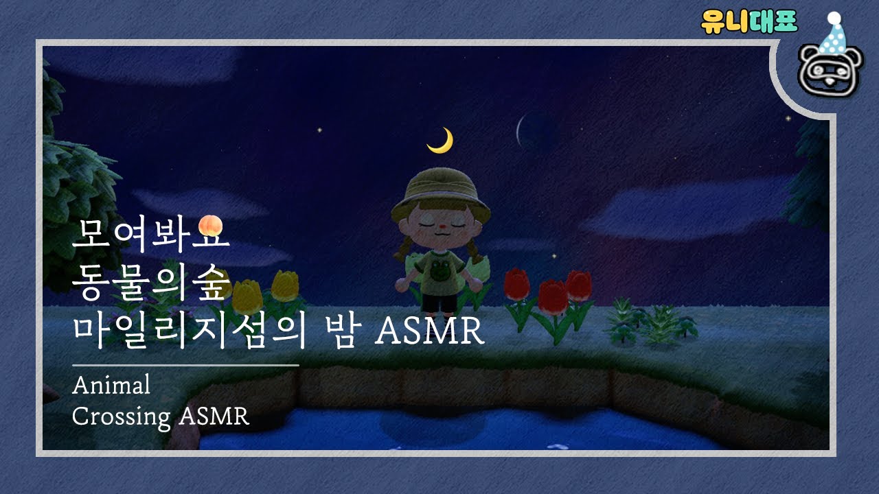 [모동숲ASMR] 🌙동물의 숲 잔잔한 섬의 밤 BGM ASMR🌙 (+물 소리) / Animal crossing asmr
