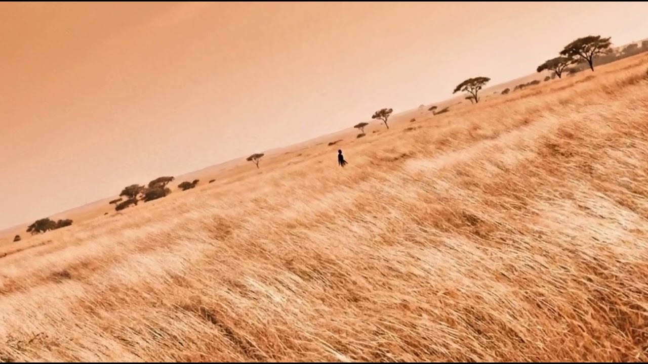 HEDRIDAN - Savanna (Official Audio) | Afro House & Tribal Rhythms