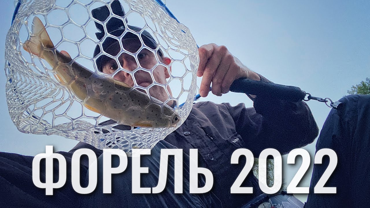Ловля форелі 2022