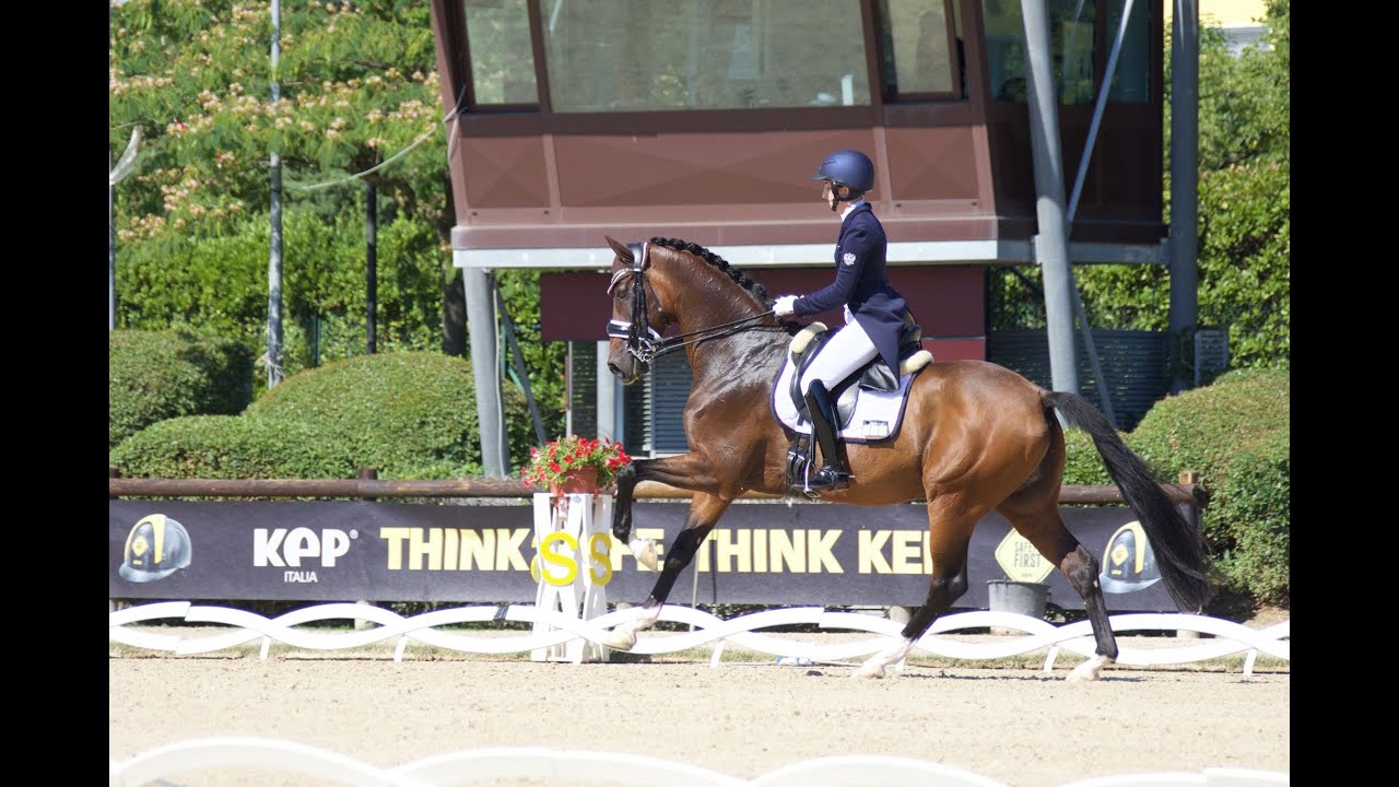 EC 2019 Young Riders Freestyle. Anna Guseynova & Lauda