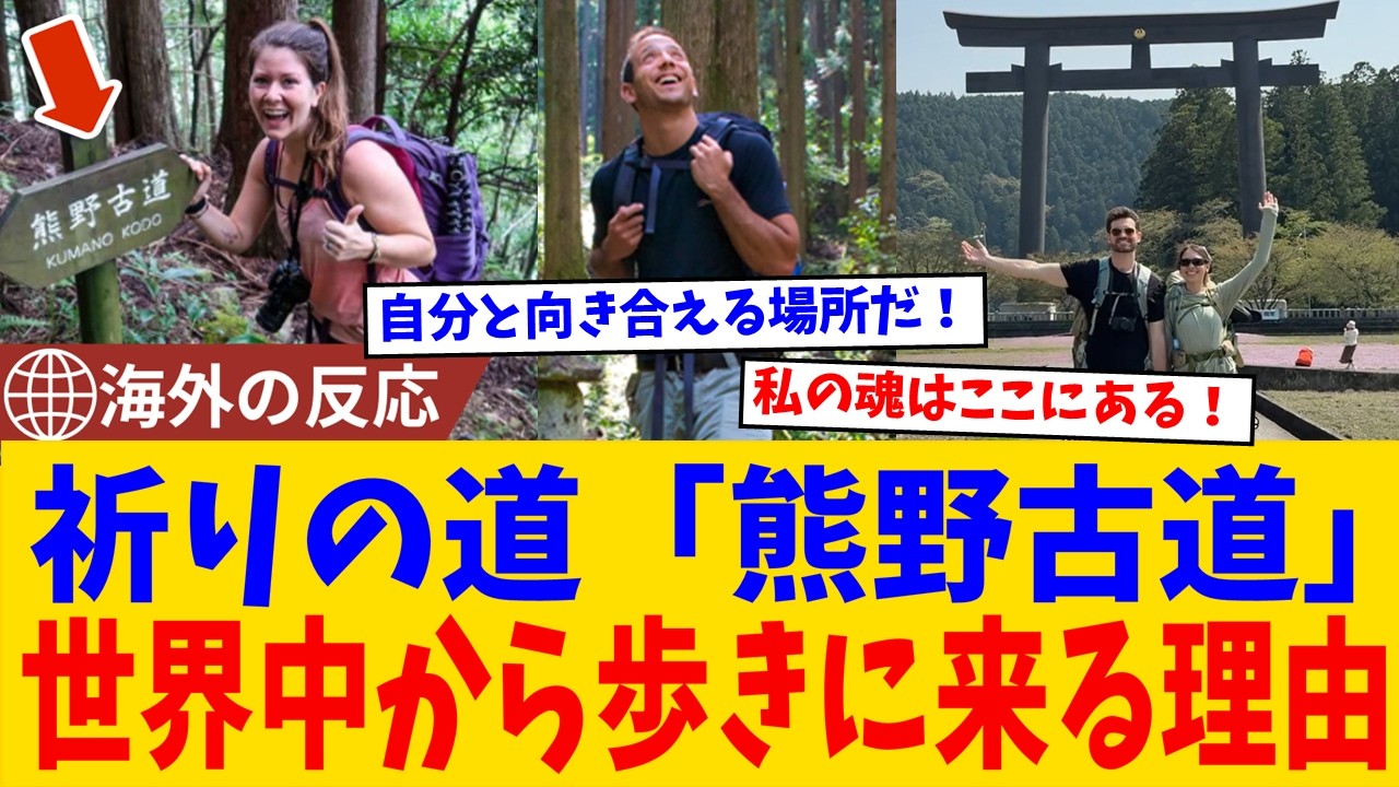 【海外の反応】「これは人生の節目に歩く道だ」祈りの道・熊野古道に世界が夢中になった！